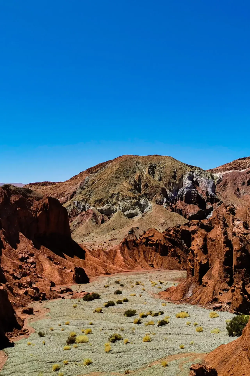 sécheresse vaginale et tampon